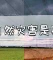 三年自然灾害是哪三年（那三年真的有