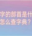 申的部首是什么（申字的部首是什么呀