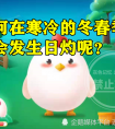 为何在寒冷的冬春季还会发生日灼
