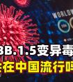 XBB会再度暴击中国吗?专家解读