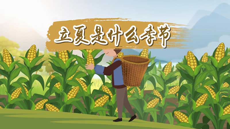 立夏是夏天的开始吗，什么节气是夏天的开始