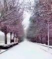 一片片雪花飘飘洒洒的像什么一样（雪