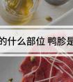 鸭胗是鸭的什么器官（鸭胗是鸭的哪个部位）