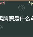 黑牌照是啥意思(国内黑牌照是什么
