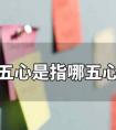 五心是指哪五心（数学五心是指哪五心