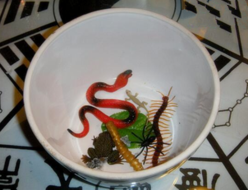 蛊虫真实存在吗（蛊虫是什么意思）