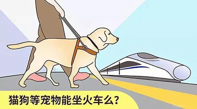 高铁可以带宠物吗，小狗可以上高铁吗