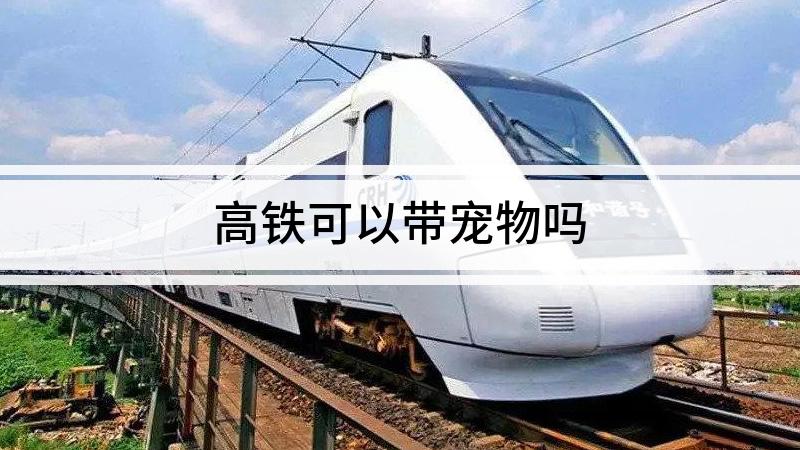 高铁可以带宠物吗（小狗可以上高铁吗