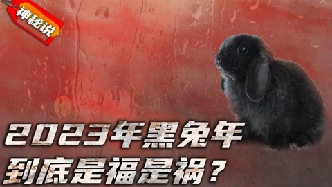 2023年为什么是黑兔年（2023黑兔年是