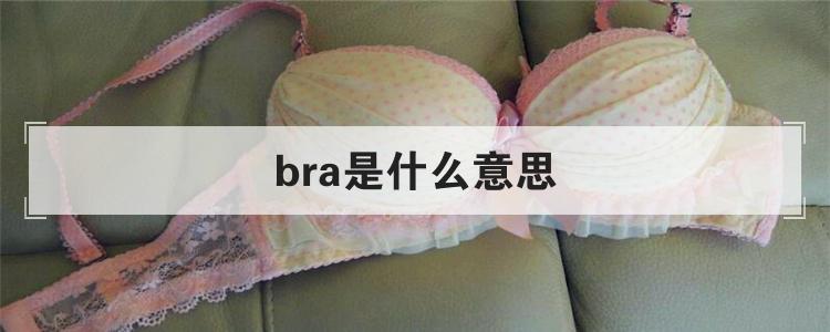 bra是啥意思呀，网络bra什么意思