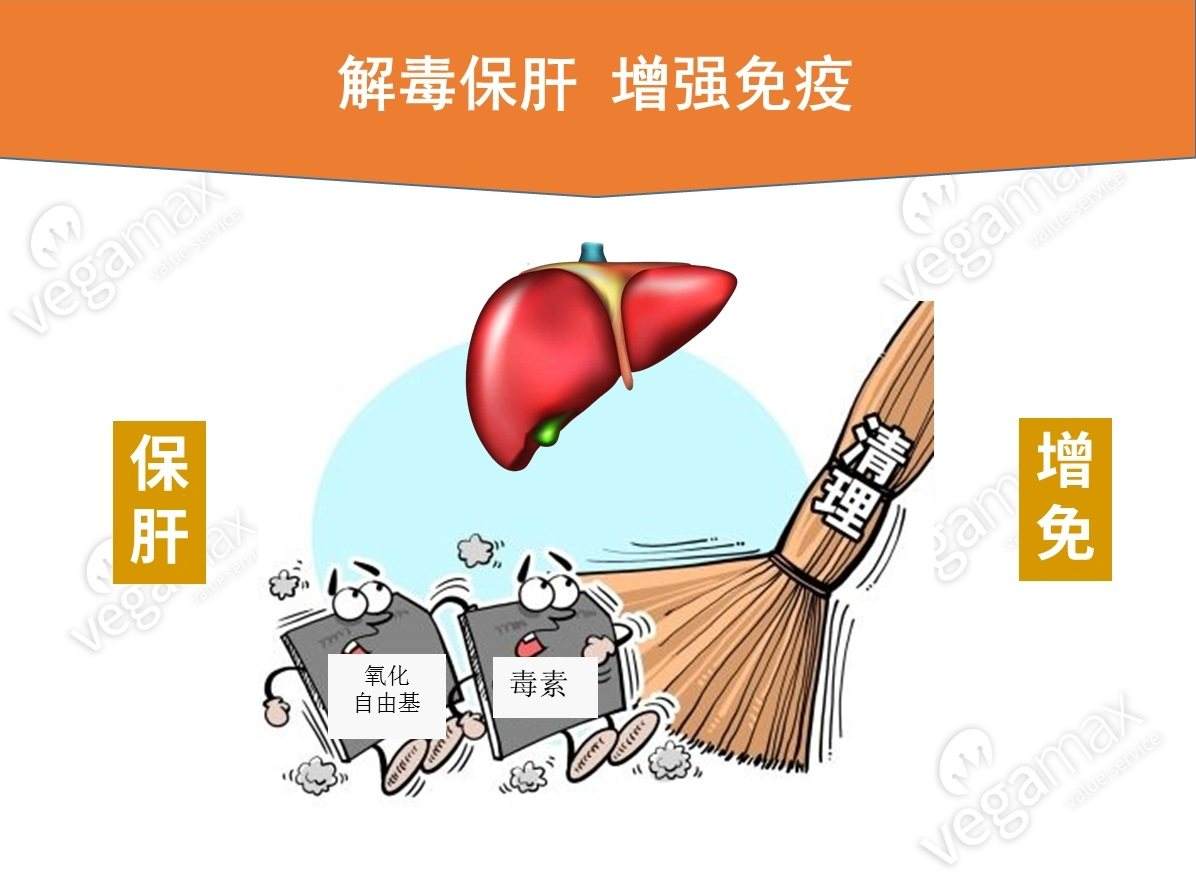 保肝护肝最好的药排名（保肝护肝的中