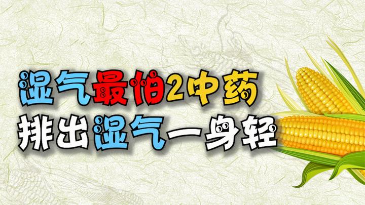 湿气最怕一味中药，除湿最有效的一味中药 