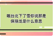 保丽龙是什么(保丽龙为什么叫保丽龙)