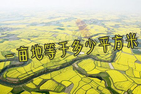 一亩地等于多少平方米（现在一亩地多
