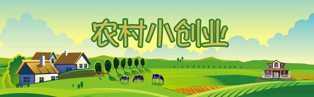 农村创业的好项目，适合农村创业致富项目 