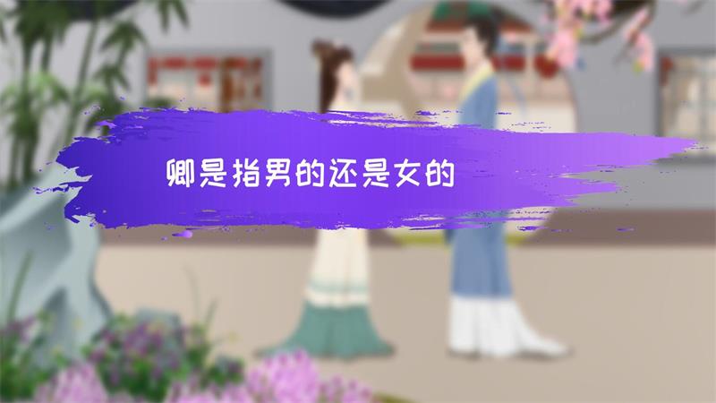 卿是指男的还是女的（君和卿分男女吗