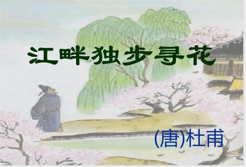 江畔独步寻花古诗意思（江畔独步寻花