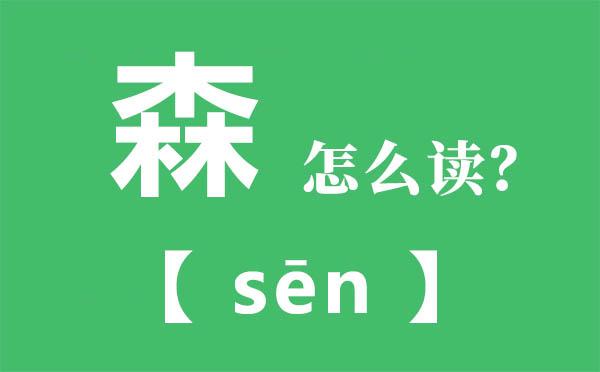森组词组（森字能组什么词）