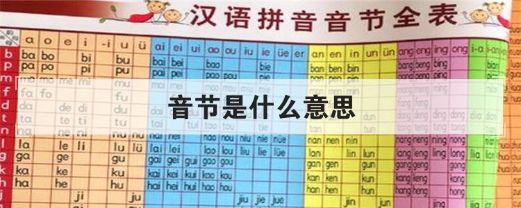 音节是指的什么，音节是指整个拼音吗 