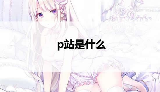p站是什么（网友说的p站是什么）