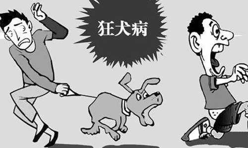 狂犬病潜伏期多长时间，90天还是狂犬病的潜伏期吗 
