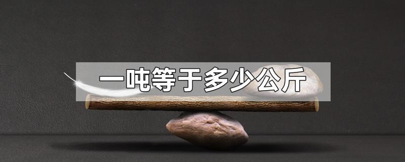 一顿是等于多少斤换算（吨和斤怎么换