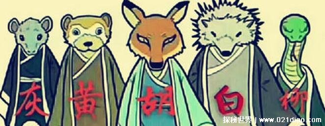 东北五仙是哪五个动物，东北五仙指的是什么 
