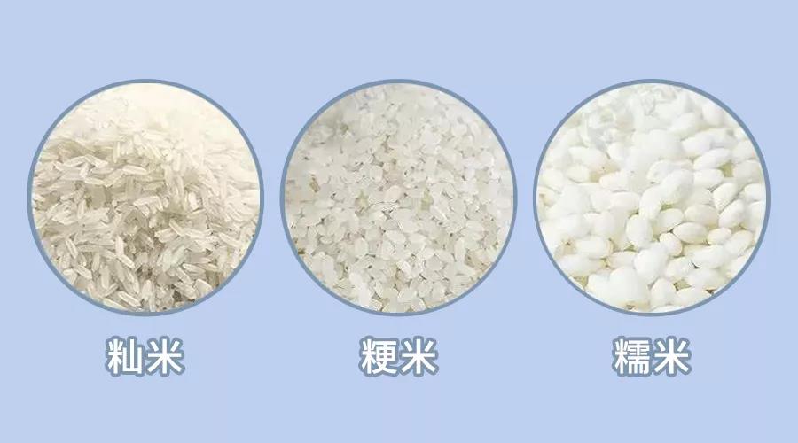 粳米是什么米 ,粳米是平时吃的大米吗 
