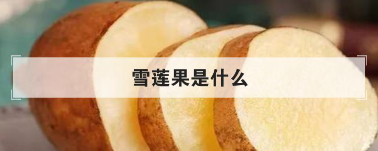 雪莲果是什么东西（雪莲果是什么水果