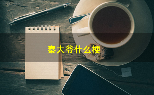 秦大爷什么梗（秦大爷是谁）