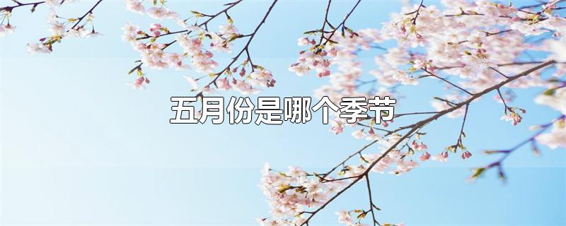五月是什么季节，五月份属于哪个季节 