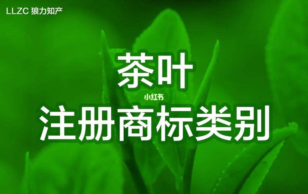 茶叶属于商标的第几类（注册茶叶商标