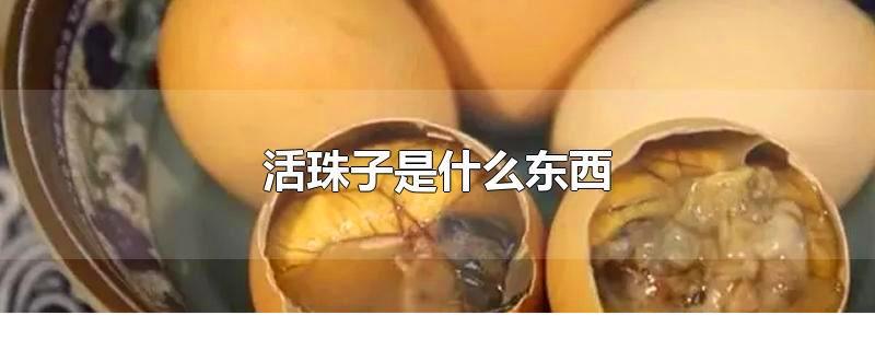 活珠子是什么东西,活珠子全部都能吃掉吗