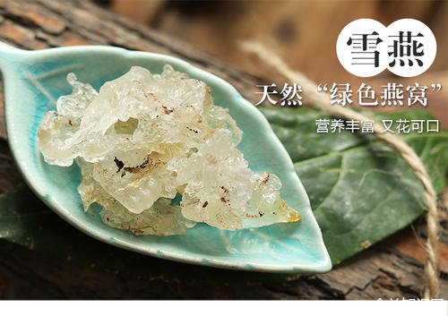 雪燕是什么东西有什么功效（雪燕的好
