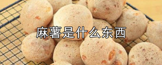 麻薯是什么东西，麻薯是什么材料做的 