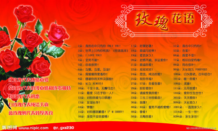 玫瑰花的寓意和花语，玫瑰花的真正含义 