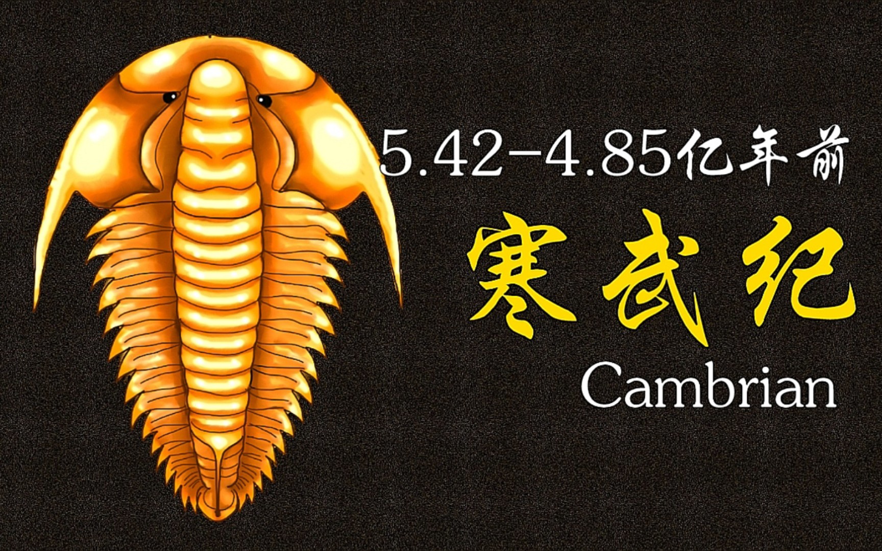 寒武纪是什么时代，寒武纪为啥叫寒武纪 