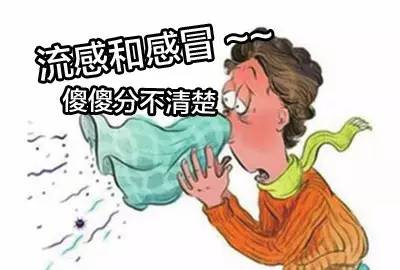 流感症状主要表现有哪些，怎么判断是不是流感 