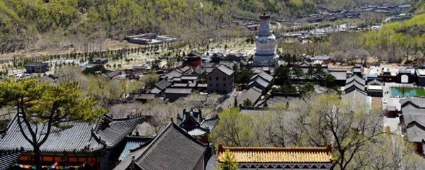 五台山在什么地方个城市