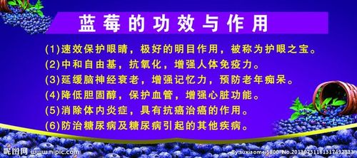 蓝莓的功效与作用，蓝莓可以天天吃吗 