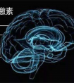 含多巴胺最多的食物是什么 吃什么