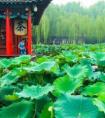 大明湖在什么地方