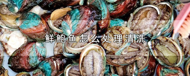 鲍鱼怎么处理干净，鲍鱼如何清洗才能干净 