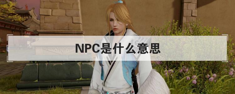 npc是什么意思 ，什么是npc 