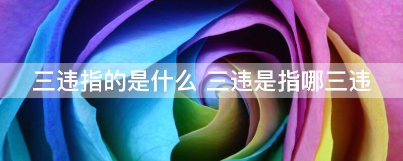 三违指的是什么（三违的内容）