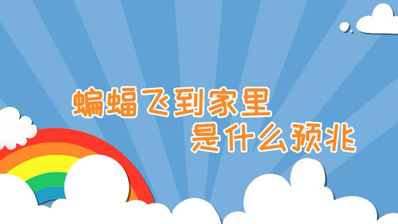 蝙蝠进屋有什么预兆，蝙蝠进宅暗示什么 