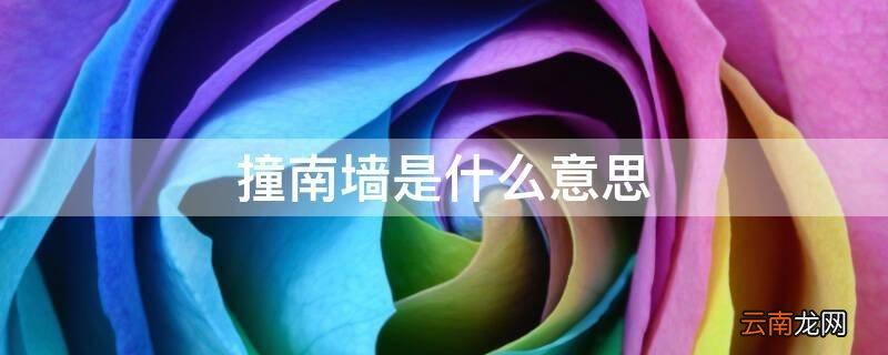 头撞南墙什么意思（撞南墙是用来比喻