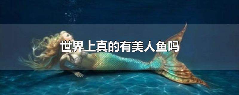世界上有没有美人鱼，是否有美人鱼的存在 