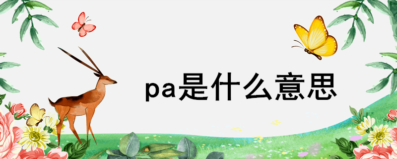 pa是什么意思（pa代表啥）