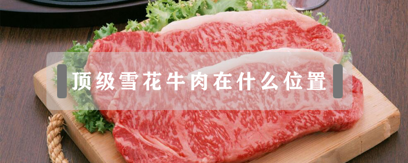 雪花牛肉是牛的哪个部位，牛身上哪块肉是雪花肉 